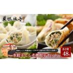 餃子セット 巣鴨餃子 水餃子 しそ焼餃子 食べ比べ 餃子セット