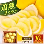 土佐文旦の創始 宮地文旦園の土佐文旦 小玉