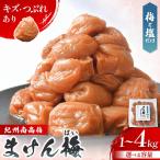 まけん梅 R 梅と塩だけ 3kg