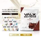 VALX ホエイプロテイン 1kgチョコレート風味