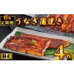 ふるさと納税 国産うなぎ蒲焼き タレ・山椒付き 4枚 1枚約110g 定期便6回 鰻 鰻 鰻 鰻 鰻 石毛川魚店 千葉県銚子市
