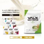 VALX ホエイプロテイン 420g