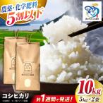 新米 コシヒカリ 10kg