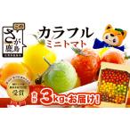 岩永さんちのカラフルミニトマト 5色 約3kg