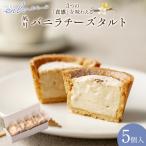 チーズタルト 夙川バニラチーズタルト