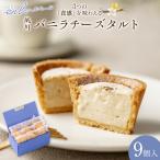 チーズタルト 夙川バニラチーズタルト