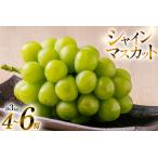 ふるさと納税 【期間限定発送】 シャインマスカット 4?6房 約 3kg [いわた果樹園 山形県 高畠町 tk06ayt400002] 山形県高畠町