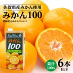 産みかん使用 みかん100 紙パック 1L×6本