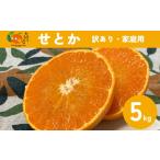 ふるさと納税 せとか(施設・露地)5kg ご家庭用 訳あり レッスルファーム みかん 愛媛【2026年1月下旬順次発送】先行予約 数量限定 おすすめ 美.. 愛媛県伊予市