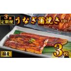 ふるさと納税 国産うなぎ蒲焼き タレ・山椒付き 3枚 1枚約100g 定期便3回 鰻 鰻 鰻 鰻 鰻 石毛川魚店 千葉県銚子市