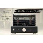 本格的 真空管パワーアンプキット 1個