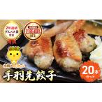 ふるさと納税 2年連続グルメ大賞受賞 ! 手羽先餃子20本セット/ 水郷のとりやさん / KTRJ001 / 餃子 ぎょうざ てばさき てばさきぎょうざ てばぎ.. 千葉県香取市