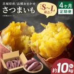 さつまいも 定期便 紅はるか 芋 生芋 10kg
