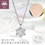 PT900 PT850ダイヤモンドネックレス