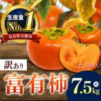訳あり 富有 柿 約 7.5kg
