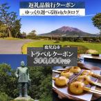 後から 旅行 Webカタログ で使える 旅行クーポン 300,000…