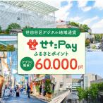デジタル地域通貨 せたがやPay 60,000pt