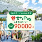 デジタル地域通貨 せたがやPay 90,000pt