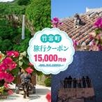 日本空輸株式会社 旅行クーポン 15,000円分