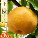 梨 甘太 5kg
