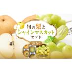 ふるさと納税 【先行予約】【訳あり】シャインマスカット（350ｇ前後）と旬の梨（5玉）セット ※8月下旬頃〜9月中旬頃に順次発送 シャインマスカ.. 鳥取県北栄町