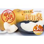 ふるさと納税 【先行予約】【訳あり】新甘泉 3kg ※8月下旬頃〜9月中旬頃に順次発送 【梨 なし 果物 フルーツ くだもの 鳥取県産 北栄町 おすす.. 鳥取県北栄町