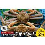 ふるさと納税 112.【活き】訳あり ご自宅用日本海獲れたて松葉ガニ 大　800〜940g前後　2枚◇ ≪かに カニ 蟹 ズワイガニ≫　※2026年11月上旬〜.. 鳥取県北栄町
