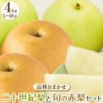 二十世紀梨と旬の赤梨セット ※2027年8月下旬~9月下旬頃に