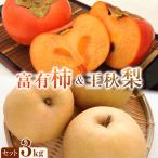 富有柿と王秋 梨の3kgセット ※2026年11月上旬~12月上旬頃に