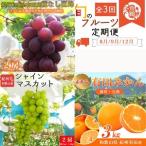 〈定期便〉 紀州和歌山産旬のフルーツセット