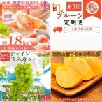 〈定期便〉 紀州和歌山産旬のフルーツセット