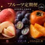 〈定期便〉 紀州和歌山産旬のフルーツセット