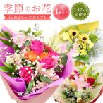 花 苗木 花束 指定日必須 6ヶ月定期便 季節のお花定期便