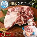 豚肉 和豚 ウデブロック 5kg
