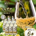 ワイン 白 やや辛口 360ml