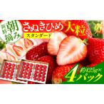 苺音ファームのおうちでいちご狩り気分セット