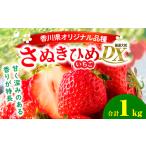 いちご 先行受付 年内発送 地域いちご部会
