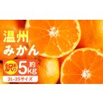 訳あり温州みかん約5kg 2L-2S みかん