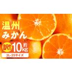 訳あり温州みかん約10kg 2L-2S