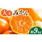 大玉みかん約9kg 大玉みかん 大玉 みかん