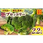 fu.... налог три дерево блок производство брокколи примерно 2.2kg | брокколи овощи пищевые ингредиенты салат кулинария большой свежий сырой овощи свежий еда питание стоимость . высокий рефрижератор рекомендация.. Kagawa префектура три дерево блок 