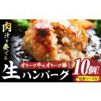 オリーブ牛&オリーブ豚入り生ハンバーグ