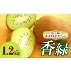 fu.... налог киви фрукты (. зеленый ) 1.2kg | киви фрукты фрукты ... фрукты киви фрукты десерт свежий еда подарок ... кромка разделение .... Kagawa префектура три дерево блок 