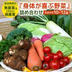 身体が喜ぶ野菜 詰め合わせ おまかせ 10~12品