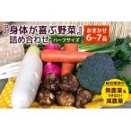 身体が喜ぶ野菜 詰め合わせ おまかせ 野菜
