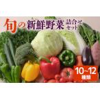 セット 詰合せ 旬の新鮮野菜 詰め合わせセット