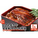 ショッピングうなぎ 蒲焼き 国内産 送料無料 ふるさと納税 超特大!やわらか 国内産うなぎ蒲焼 220〜250g 1尾 肉厚ジューシー 国産ブランド鰻 ふっくら仕上げ 蒲焼きのタレ・山椒付き 湯煎で.. 茨城県潮来市