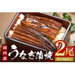 ふるさと納税 やわらか国内産 うなぎ蒲焼 満足サイズ! 120〜140g 2尾 計240g以上 ふっくら蒲焼き ブランド鰻使用 秘伝のタレ・山椒付き 湯煎で簡.. 茨城県潮来市