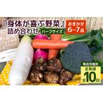 身体が喜ぶ野菜 詰め合わせ おまかせ ハーフサイズ