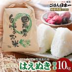 特別栽培米 はえぬき 10kg
